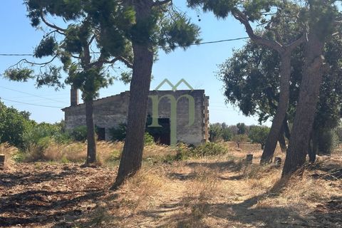 Ruïna a Carovigno, Brindisi, Carovigno - € 225.000 | Ref: Casolare e Trul - foto 21